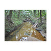Deep Forest Explorations - El Yunque Holy Spirit River - Nikon D850 - Forest Creek Canvas Print - Stretched 0.75" Nature Wall Art