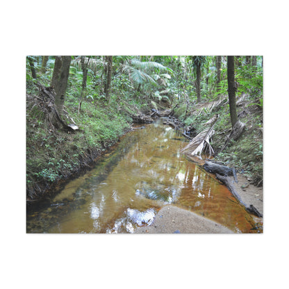 Deep Forest Explorations - El Yunque Holy Spirit River - Nikon D850 - Forest Creek Canvas Print - Stretched 0.75" Nature Wall Art
