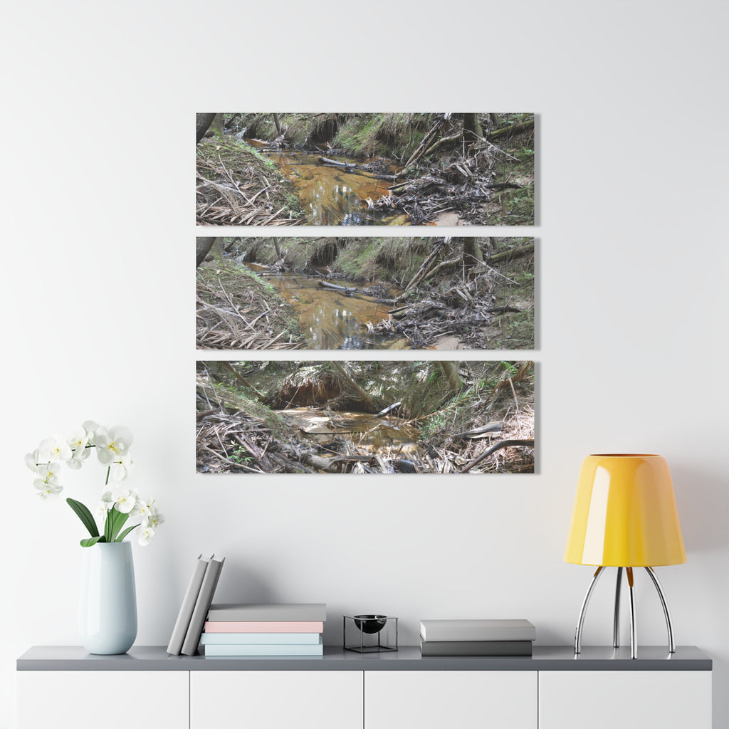 Deep Forest Explorations - El Yunque Holy Spirit River - Nikon D850 - Triptych Acrylic Print – Forest Creek Landscape Wall Art