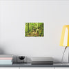Forest Trail Matte Canvas Print – Lush Green Nature Wall Art - Hiker enjoys the BEAUTY - Mt Britton Trail - El Yunque Rainforest - Puerto Rico