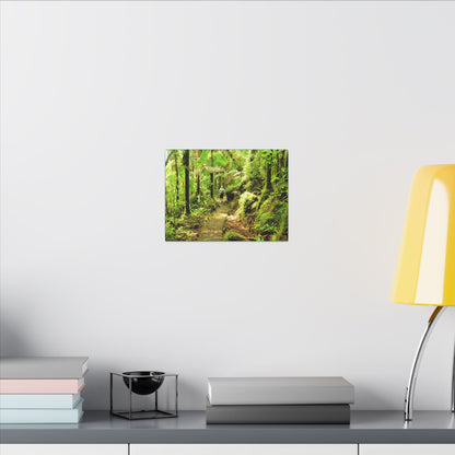 Forest Trail Matte Canvas Print – Lush Green Nature Wall Art - Hiker enjoys the BEAUTY - Mt Britton Trail - El Yunque Rainforest - Puerto Rico