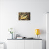 Tradewinds Trail - Fallen Colorful Leaf - Matte Canvas Print — Stretched Wall Art - El Yunque Rainforest - Puerto Rico - Deep forest explorations