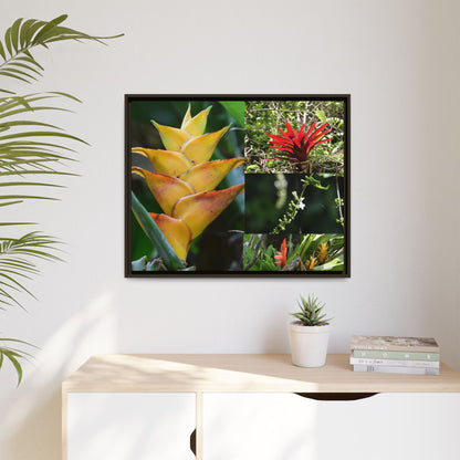 Tropical Vista Matte Canvas Framed Wall Art - Forest explorations - Deep in El Yunque rainforest PR - Mosaic#1 of the Flowers of El Yunque rainforest