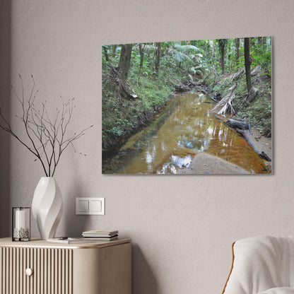 Deep Forest Explorations - El Yunque Holy Spirit River - Nikon D850 - Forest Creek Canvas Print - Stretched 0.75" Nature Wall Art