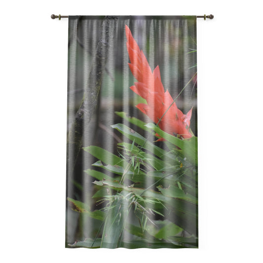 Tropical Jungle - Bromeliad Air-Plant Flower - Window Curtain - Lush Rainforest Print Sheer Drapery - View in El Yunque rainforest - Puerto  Rico - Nikon