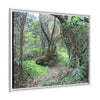 Tropical Vista Matte Canvas Framed Wall Art — Magic section of the remote Tradewinds Trail -  El Yunque rainforest PR