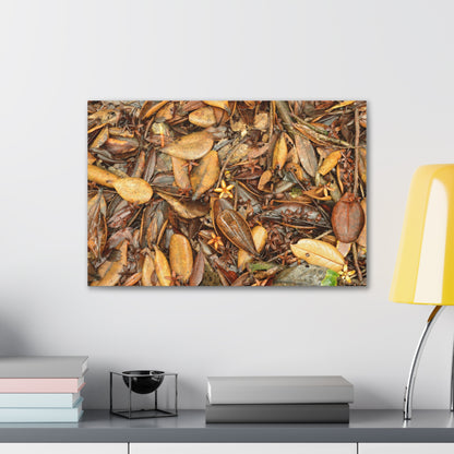 Autumn Leaf Floor Canvas Print — Deep Forest Explorations - El Yunque - Nikon D850 Stretched Wall Art (0.75")