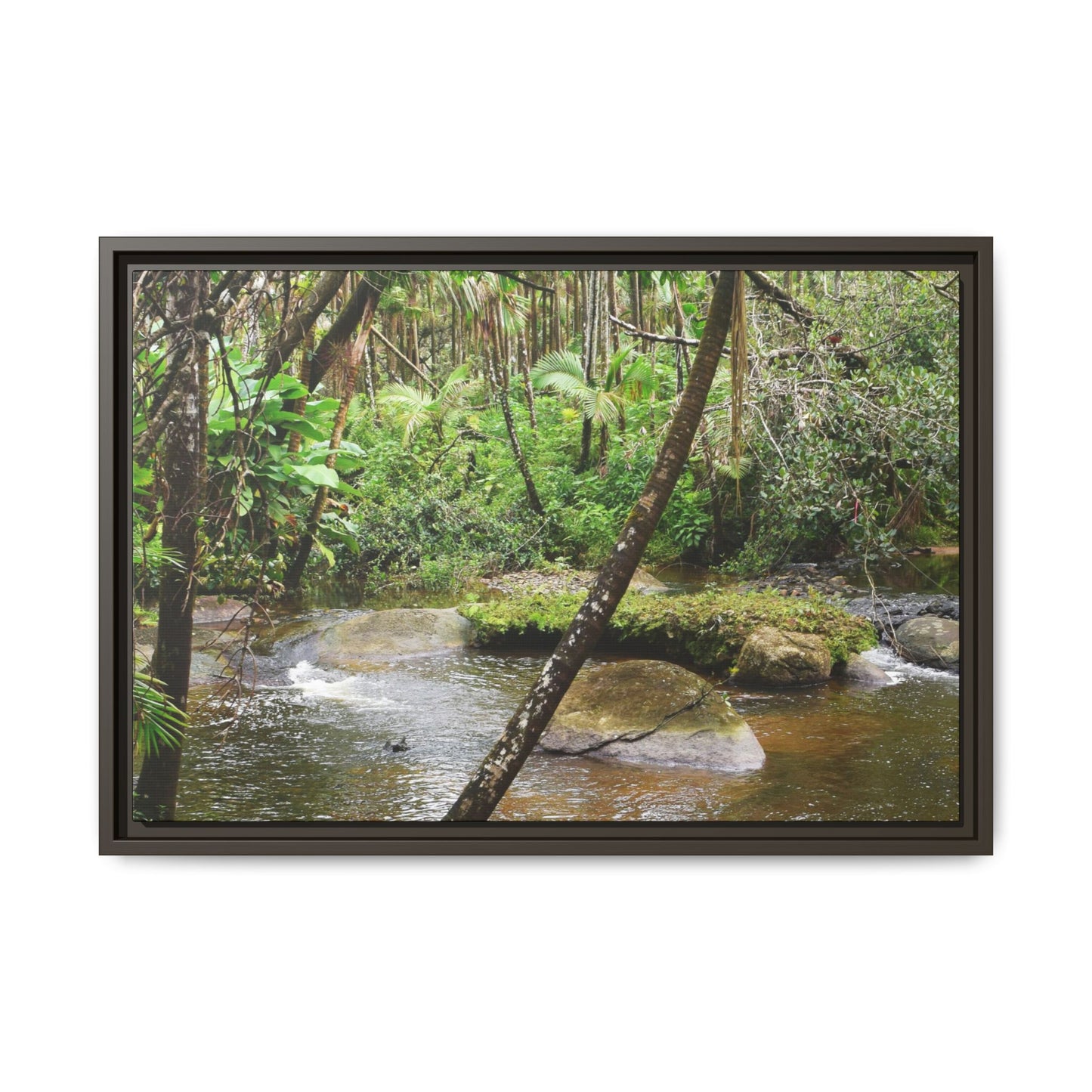 Framed Matte Canvas Wall Art — Tropical Rainforest Roots Photography - View deep in the forest in the Rio Sabana Trail