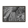 Framed Matte Canvas Wall Art — Tropical Rainforest Roots Photography - B&W roots of the Sierra Palm tree - Nikon
