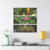 Common Plants and Flowers El Yunque RainForest - Heliconias, MirameLinda, Sierra Palm seeds - Nikon D850 - Tropical Rivers Triptych Acrylic Print – Panoramic Jungle Wall Aert