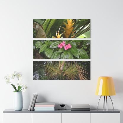Common Plants and Flowers El Yunque RainForest - Heliconias, MirameLinda, Sierra Palm seeds - Nikon D850 - Tropical Rivers Triptych Acrylic Print – Panoramic Jungle Wall Aert
