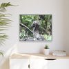Tropical Vista Matte Canvas Framed Wall Art - Forest explorations - Deep in Sabana River Unusual Tree formations ??? -  El Yunque rainforest PR