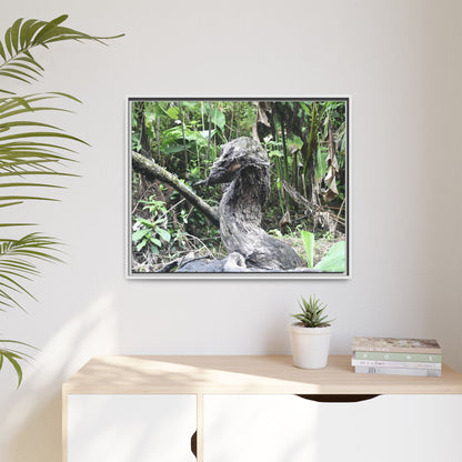 Tropical Vista Matte Canvas Framed Wall Art - Forest explorations - Deep in Sabana River Unusual Tree formations ??? -  El Yunque rainforest PR