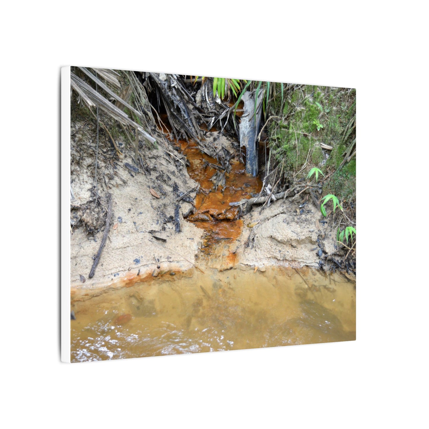 Rust-Tinged Creek Canvas Print — Natural Stream Landscape Wall Art - Tributary with decomposing matter orange color -  Deep forest explorations
