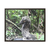Tropical Vista Matte Canvas Framed Wall Art - Forest explorations - Deep in Sabana River Unusual Tree formations ??? -  El Yunque rainforest PR