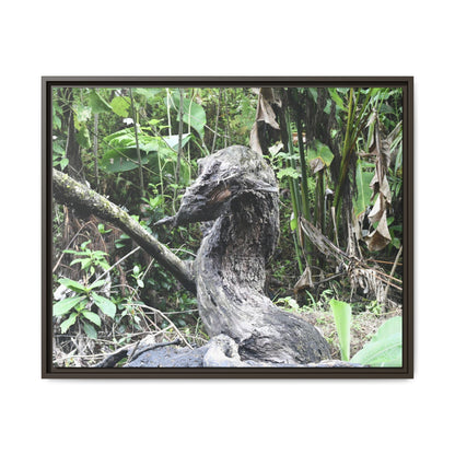 Tropical Vista Matte Canvas Framed Wall Art - Forest explorations - Deep in Sabana River Unusual Tree formations ??? -  El Yunque rainforest PR