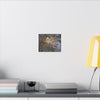 Yagrumo Leaf Floating — Matte Canvas Wall Art - Yagrumo leaf - white side - in a flooded Rio Sabana river - El Yunque Rainforest - Puerto Rico - Deep forest explorations