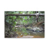 Deep Forest Explorations - El Yunque Holy Spirit River - Nikon D850 - Rainforest Creek Canvas Print — Tropical Jungle Stream Wall Art