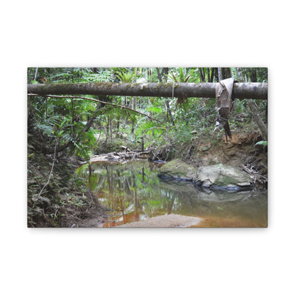 Deep Forest Explorations - El Yunque Holy Spirit River - Nikon D850 - Rainforest Creek Canvas Print — Tropical Jungle Stream Wall Art