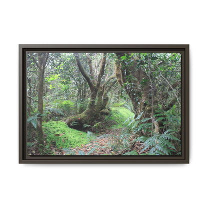 Tropical Vista Matte Canvas Framed Wall Art — Magic section of the remote Tradewinds Trail -  El Yunque rainforest PR