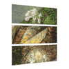 Yagrumo and other Decomposing Leaves Art- El Yunque - Nikon D850 - Triptych Acrylic Print – Forest Wall Art