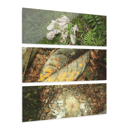 Yagrumo and other Decomposing Leaves Art- El Yunque - Nikon D850 - Triptych Acrylic Print – Forest Wall Art