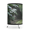 Forest Road - El Yunque rainforest  PR - Tropical Tripod Lamp — Forest Home Décor - Nikon