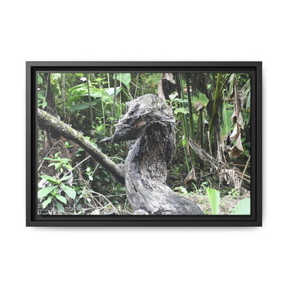 Tropical Vista Matte Canvas Framed Wall Art - Forest explorations - Deep in Sabana River Unusual Tree formations ??? -  El Yunque rainforest PR