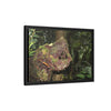 Framed Matte Canvas Wall Art — Tropical Rainforest Roots Photography - Not a nice image - a slowly decomposing red Tree (very hard wood) in Tradewinds trail