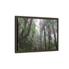 Tropical Vista Matte Canvas Framed Wall Art - Forest explorations - My son Jose is tired on El Yunque High-Forest (in the clouds) trail -  El Yunque rainforest PR