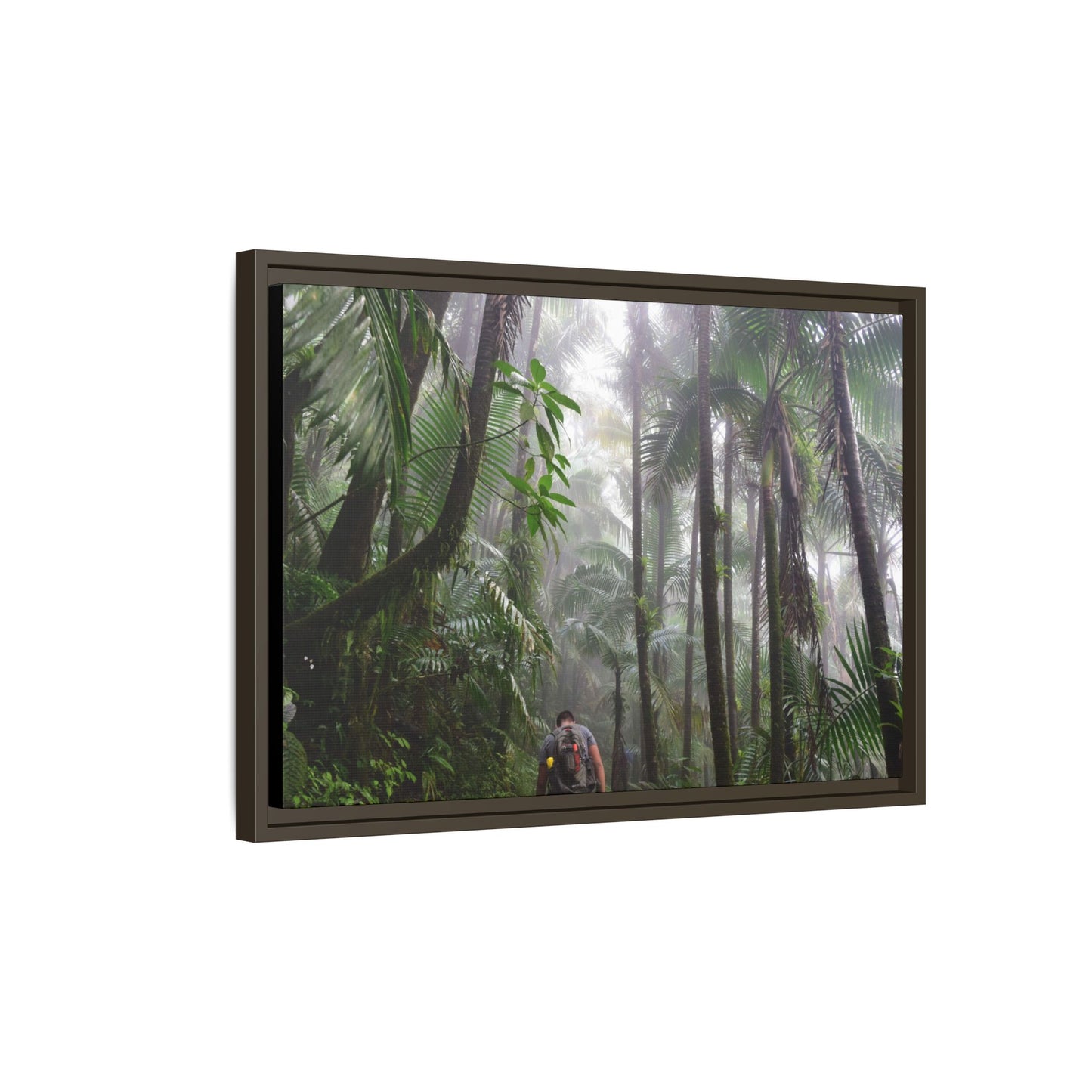 Tropical Vista Matte Canvas Framed Wall Art - Forest explorations - My son Jose is tired on El Yunque High-Forest (in the clouds) trail -  El Yunque rainforest PR