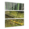 El Yunque Rainforest -Bamboo Variety Protecting Roads - Nikon D850 - Triptych Acrylic Print – Forest Creek Landscape Wall Art