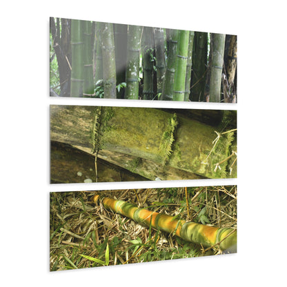 El Yunque Rainforest -Bamboo Variety Protecting Roads - Nikon D850 - Triptych Acrylic Print – Forest Creek Landscape Wall Art