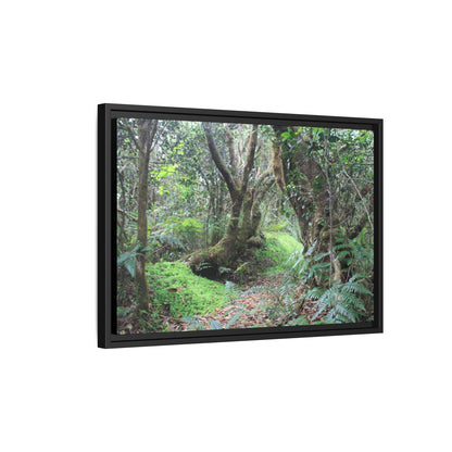 Tropical Vista Matte Canvas Framed Wall Art — Magic section of the remote Tradewinds Trail -  El Yunque rainforest PR