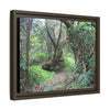 Tropical Vista Matte Canvas Framed Wall Art — Magic section of the remote Tradewinds Trail -  El Yunque rainforest PR