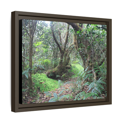 Tropical Vista Matte Canvas Framed Wall Art — Magic section of the remote Tradewinds Trail -  El Yunque rainforest PR