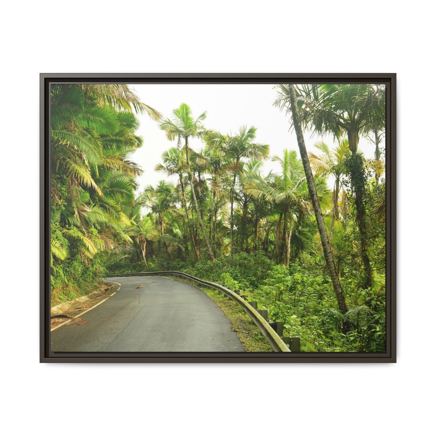 Tropical Vista Matte Canvas Framed Wall Art — Lush Mountain road the PR 191 High forest - El Yunque rainforest PR