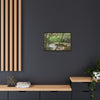 Framed Matte Canvas Wall Art — Tropical Rainforest Roots Photography - View deep in the forest in the Rio Sabana Trail
