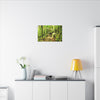 Forest Trail Matte Canvas Print – Lush Green Nature Wall Art - Hiker enjoys the BEAUTY - Mt Britton Trail - El Yunque Rainforest - Puerto Rico
