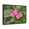 Rainforest Trails & Views - Gallery Canvas Wraps, Horizontal Frame - El Yunque National Forest - Rio Sabana Lovely Miramelinda flower - Green Forest Home