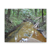 Deep Forest Explorations - El Yunque Holy Spirit River - Nikon D850 - Forest Creek Canvas Print - Stretched 0.75" Nature Wall Art