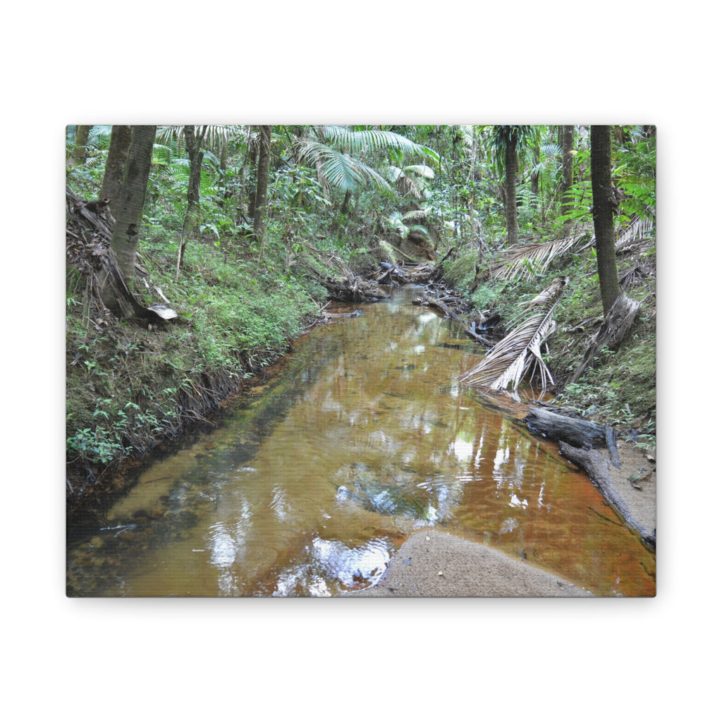 Deep Forest Explorations - El Yunque Holy Spirit River - Nikon D850 - Forest Creek Canvas Print - Stretched 0.75" Nature Wall Art