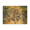 Leaf Wall Art Canvas — Botanical Nature Photography Print - Yagrumo leaf in Tradewinds Muddy Trail - El Yunque Rainforest - Puerto Rico - Deep forest explorations