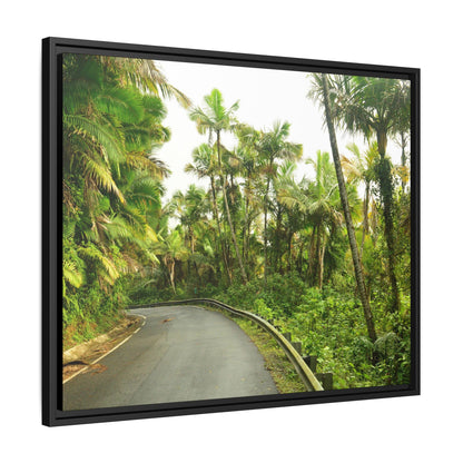 Tropical Vista Matte Canvas Framed Wall Art — Lush Mountain road the PR 191 High forest - El Yunque rainforest PR