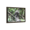 Tropical Vista Matte Canvas Framed Wall Art - Forest explorations - Deep in Sabana River Unusual Tree formations ??? -  El Yunque rainforest PR