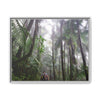 Tropical Vista Matte Canvas Framed Wall Art - Forest explorations - My son Jose is tired on El Yunque High-Forest (in the clouds) trail -  El Yunque rainforest PR