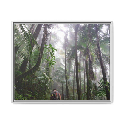 Tropical Vista Matte Canvas Framed Wall Art - Forest explorations - My son Jose is tired on El Yunque High-Forest (in the clouds) trail -  El Yunque rainforest PR