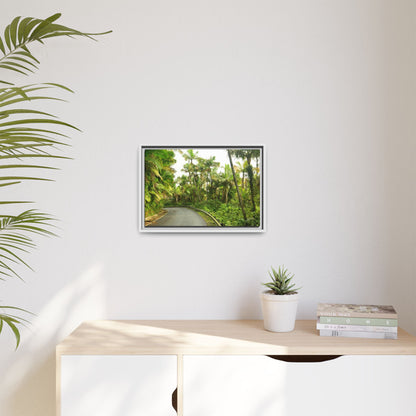 Tropical Vista Matte Canvas Framed Wall Art — Lush Mountain road the PR 191 High forest - El Yunque rainforest PR