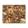 Autumn Leaf Floor Canvas Print — Deep Forest Explorations - El Yunque - Nikon D850 Stretched Wall Art (0.75")
