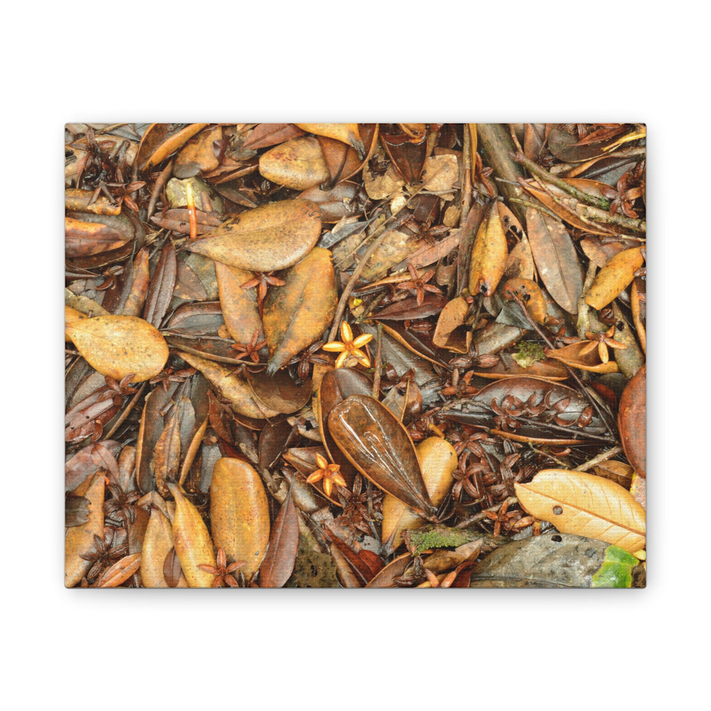Autumn Leaf Floor Canvas Print — Deep Forest Explorations - El Yunque - Nikon D850 Stretched Wall Art (0.75")